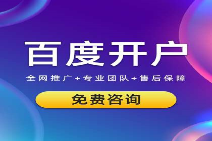 SEM优化策略：实战案例解析